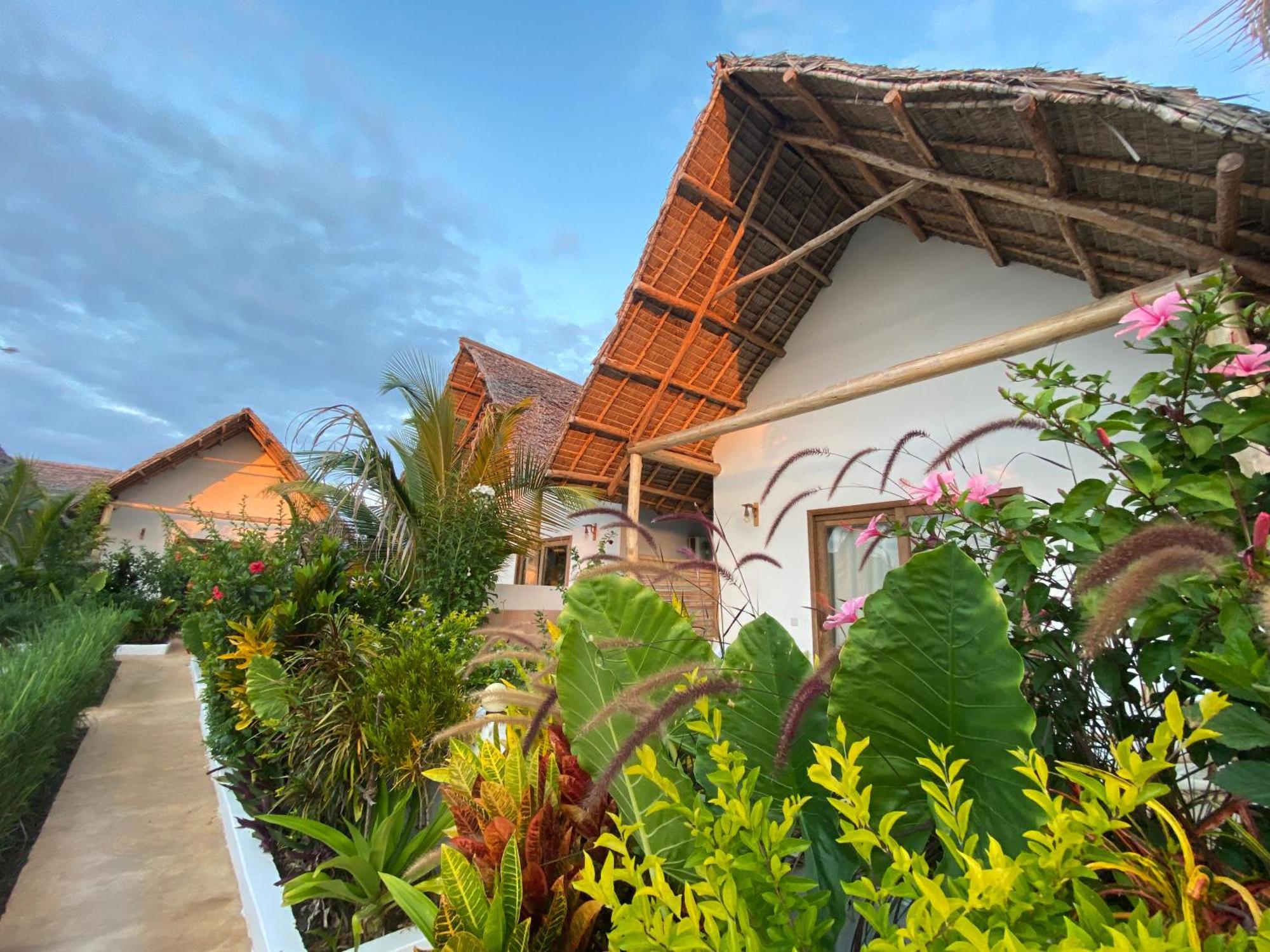 Zen Boutique Resort ジャンビアニ エクステリア 写真